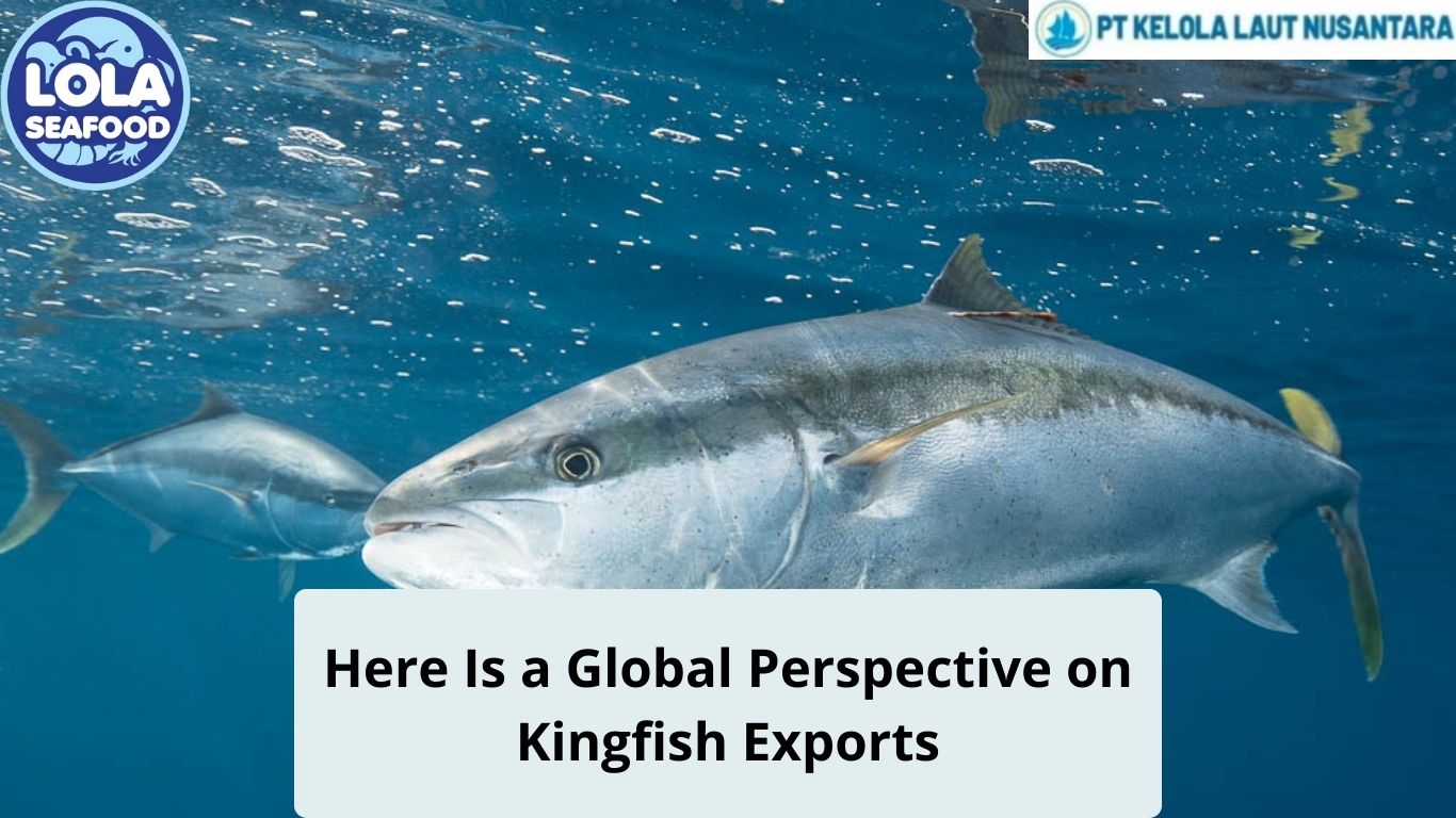 Here Is a Global Perspective on Kingfish Exports